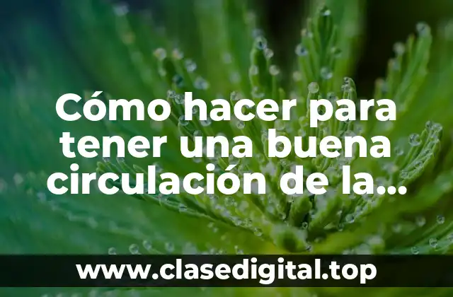 Cómo hacer para tener una buena circulación de la sangre