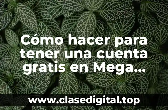 Cómo hacer para tener una cuenta gratis en Mega ilimitada