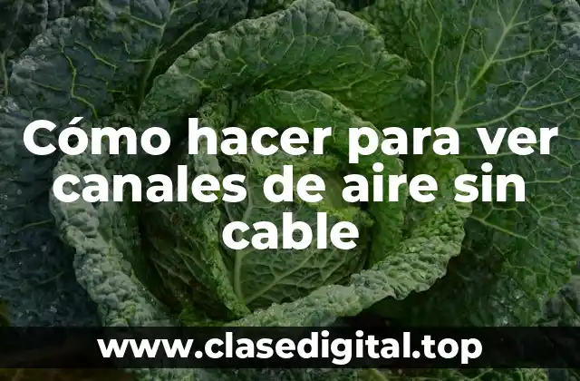 Cómo hacer para ver canales de aire sin cable