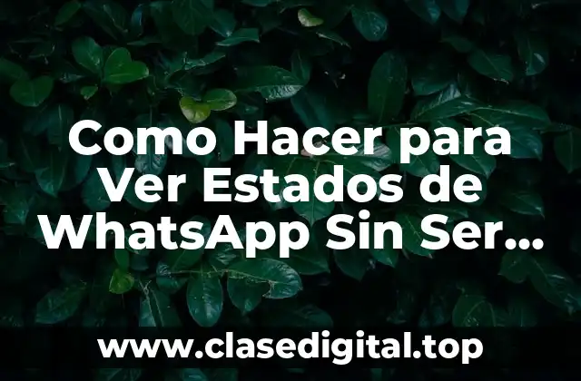 Ver Estados de WhatsApp Sin Ser Visto