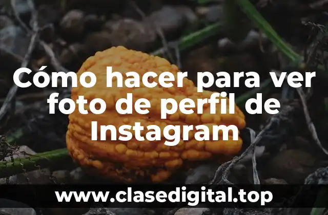 Cómo hacer para ver foto de perfil de Instagram