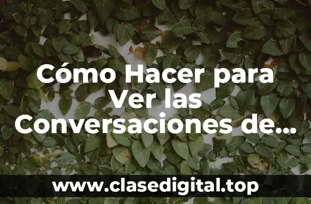 Cómo Hacer para Ver las Conversaciones de WhatsApp