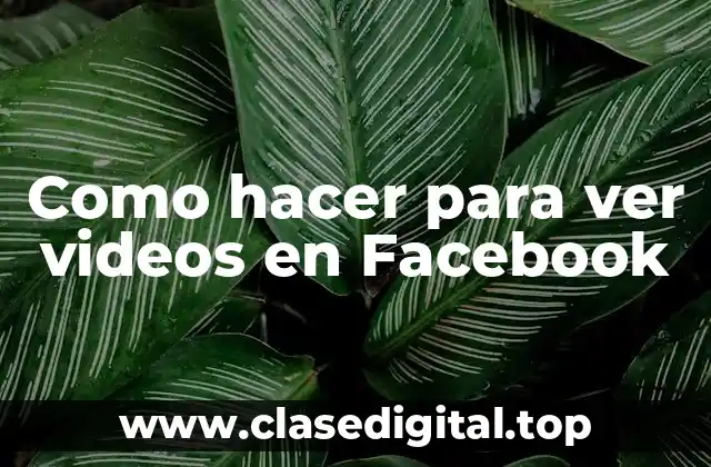 Como hacer para ver videos en Facebook