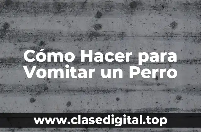 Cómo Hacer para Vomitar un Perro