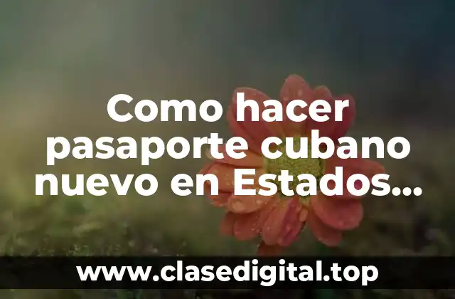 Pasaporte cubano nuevo en Estados Unidos