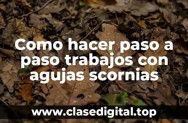 Como hacer paso a paso trabajos con agujas scornias