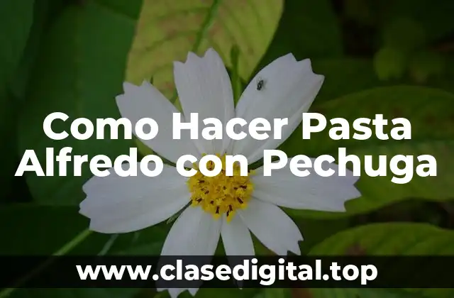 Como Hacer Pasta Alfredo con Pechuga