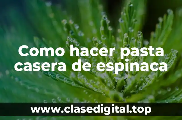 Pasta casera de espinaca: ¿Qué es y para qué sirve?