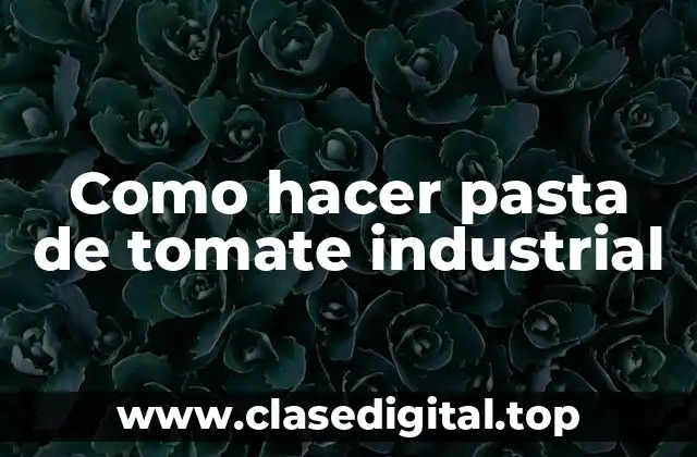 ¿Qué es la pasta de tomate industrial?