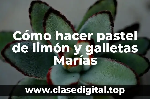 Cómo hacer pastel de limón y galletas Marías