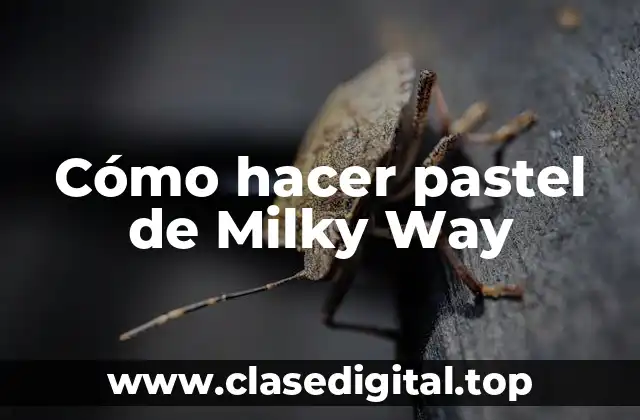 ¿Qué es un pastel de Milky Way y para qué sirve?