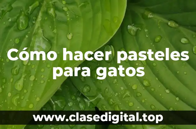 Cómo hacer pasteles para gatos