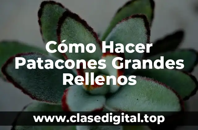 Cómo Hacer Patacones Grandes Rellenos