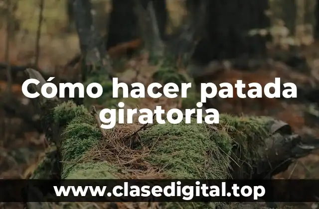 Cómo hacer patada giratoria