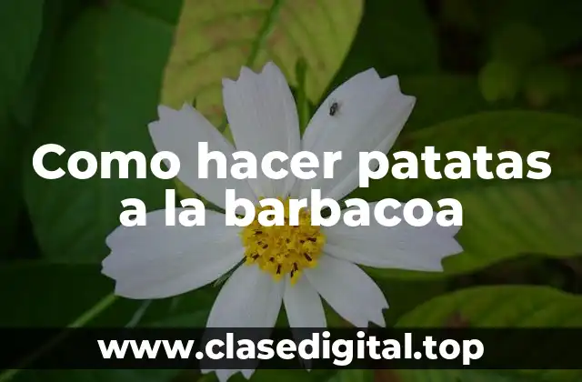 Como hacer patatas a la barbacoa