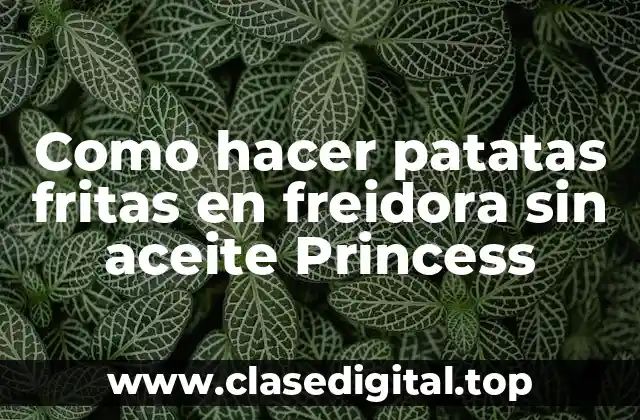 Como hacer patatas fritas en freidora sin aceite Princess