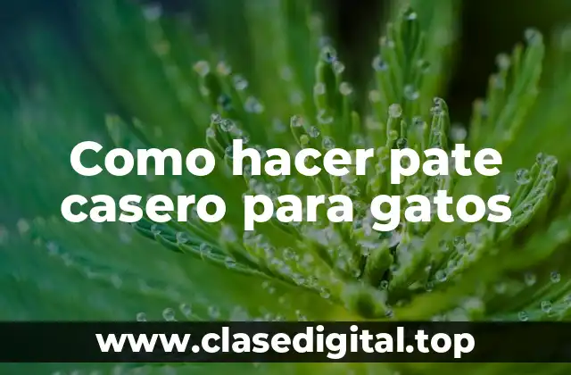 Como hacer pate casero para gatos