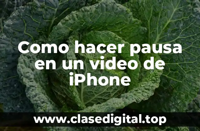 Como hacer pausa en un video de iPhone