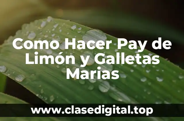 ¿Qué es Pay de Limón y Galletas Marias?
