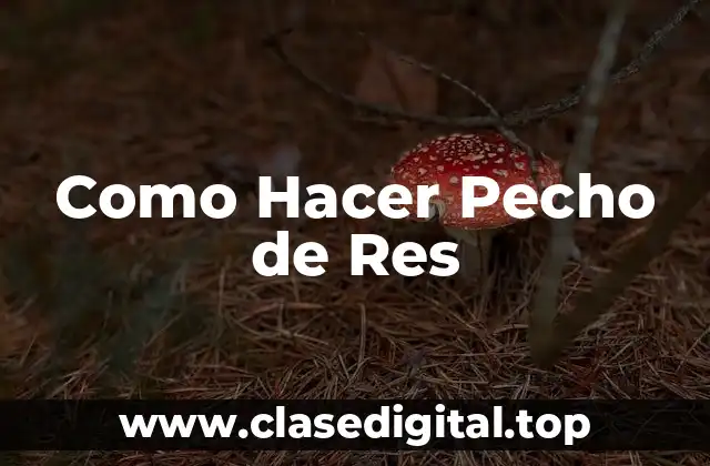 Como Hacer Pecho de Res