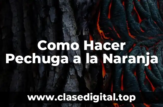 Como Hacer Pechuga a la Naranja