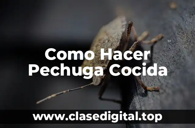 Como Hacer Pechuga Cocida