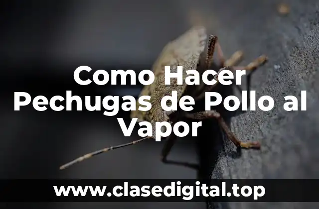 Como Hacer Pechugas de Pollo al Vapor