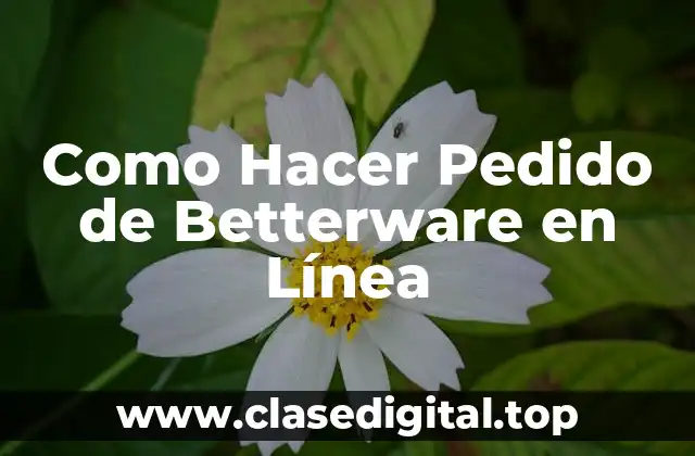 ¿Qué es Betterware y Cómo Funciona?