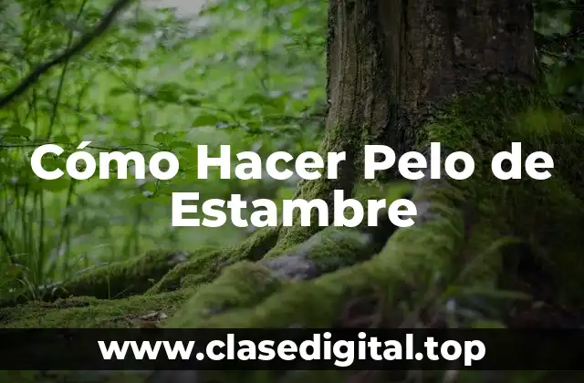 Cómo Hacer Pelo de Estambre