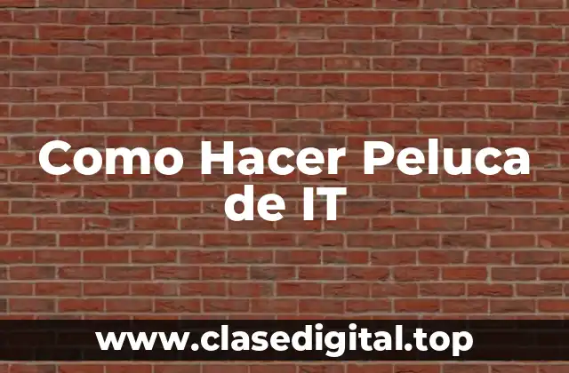 ¿Qué es una Peluca de IT y para Qué Sirve?