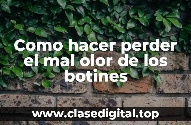 Como hacer perder el mal olor de los botines