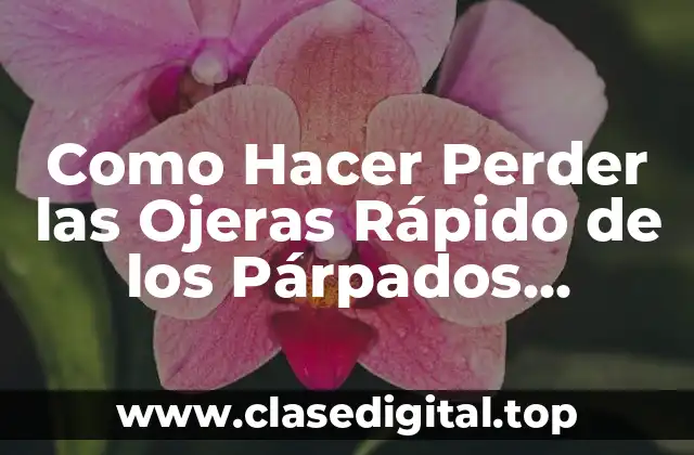 Como Hacer Perder las Ojeras Rápido de los Párpados También