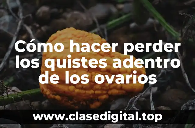 Cómo hacer perder los quistes adentro de los ovarios