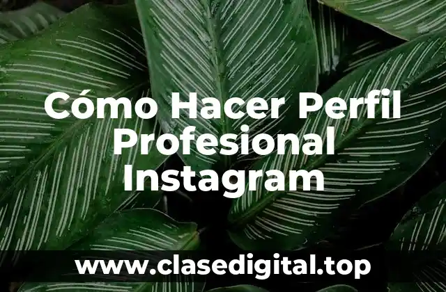 Cómo Hacer Perfil Profesional Instagram