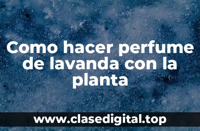 Como hacer perfume de lavanda con la planta