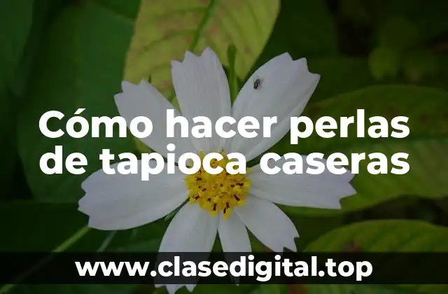 Tapioca casera: qué es y cómo se hace