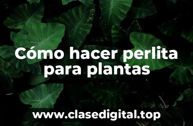 Cómo hacer perlita para plantas