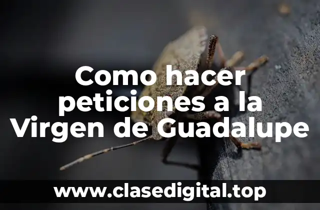 Como hacer peticiones a la Virgen de Guadalupe