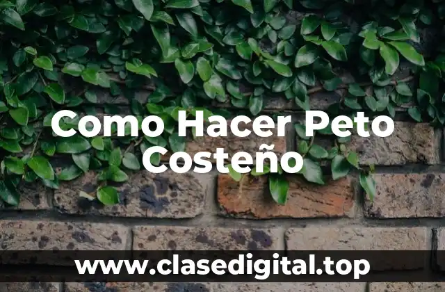 Como Hacer Peto Costeño