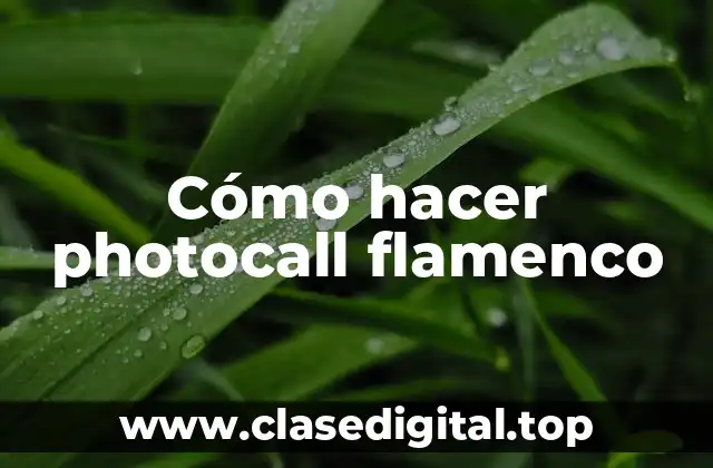 Cómo hacer photocall flamenco