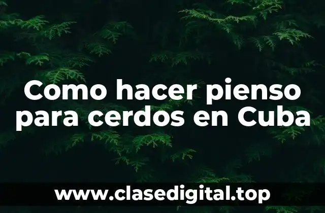 Como hacer pienso para cerdos en Cuba