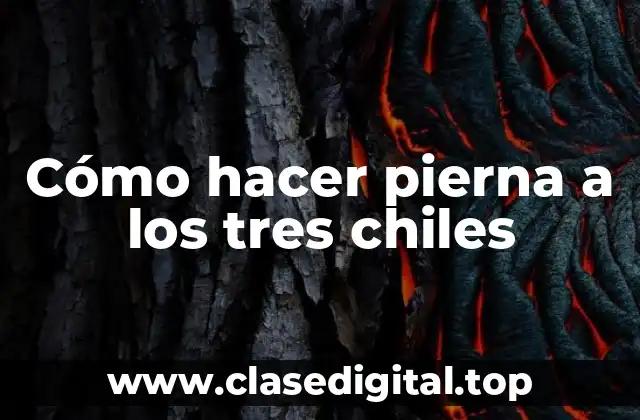 Cómo hacer pierna a los tres chiles