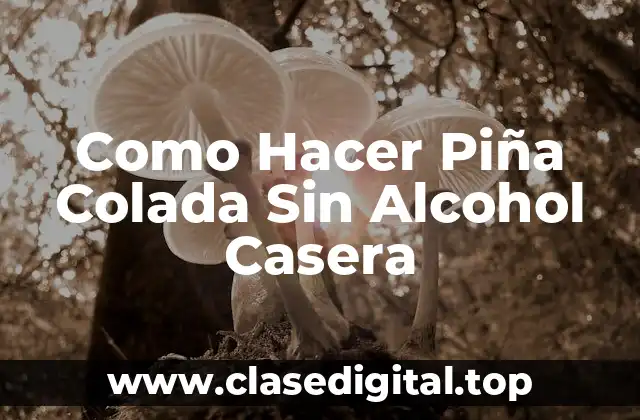 ¿Qué es una Piña Colada Sin Alcohol y para Qué Sirve?