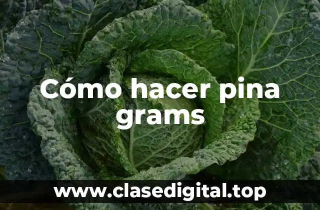 Cómo hacer pina grams