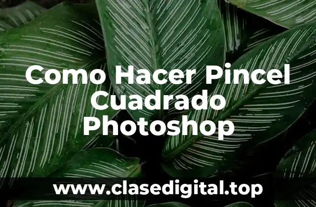 Como Hacer Pincel Cuadrado Photoshop