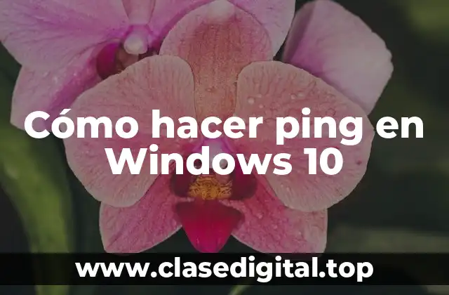 Cómo hacer ping en Windows 10