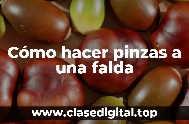 Cómo hacer pinzas a una falda