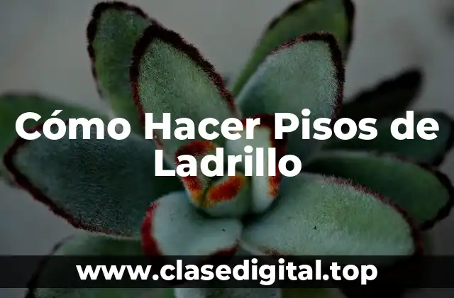 Cómo Hacer Pisos de Ladrillo