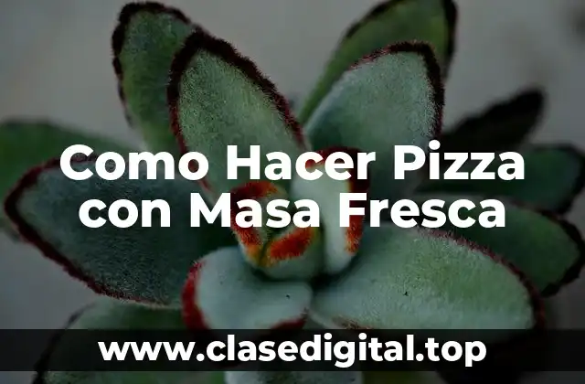 Como Hacer Pizza con Masa Fresca