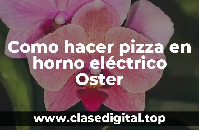 Como hacer pizza en horno eléctrico Oster